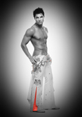 Las Vegas Entertainment - Click here!