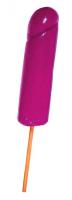 Jumbo Cock Pop Bachelorette Candy Penis Sucker Lolli Pop