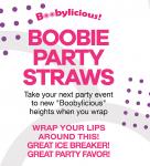 Bachelor Boobie Party Straws 6 pack perfect for LGBT Bachelorette Parties